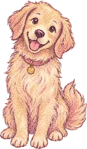 Watercolour doodle of a dog