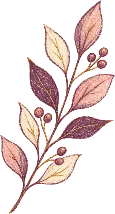 Watercolour doodle of a green leafy plant